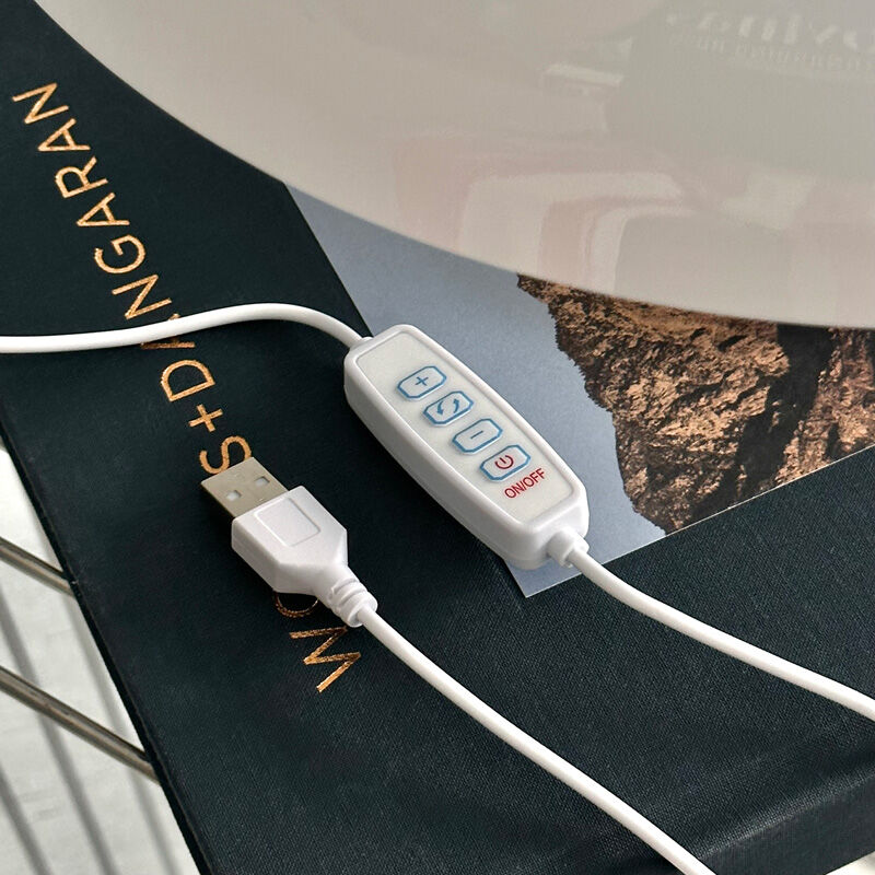 予約販売3月上旬～3月中旬頃発送予定 light-03096 USB geuneul マッシュ