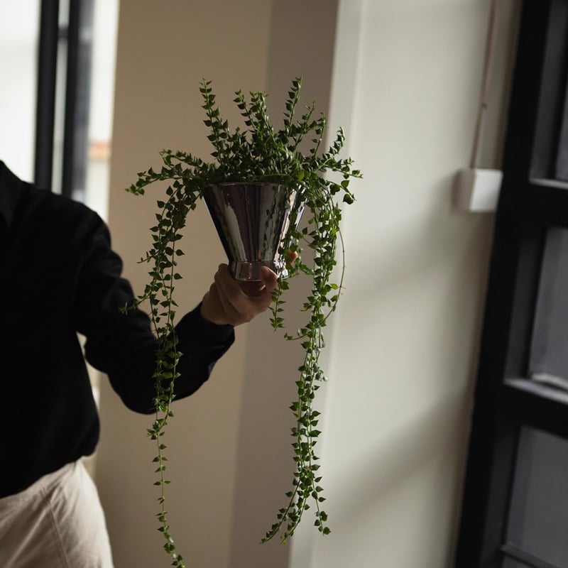 b*s様 ココスヤシシルバーリーフ【極太】葉先140cm幹回り60cm 幹高20 gardening-03036 セラミック製 植木鉢 シルバーポット 5号 | ART