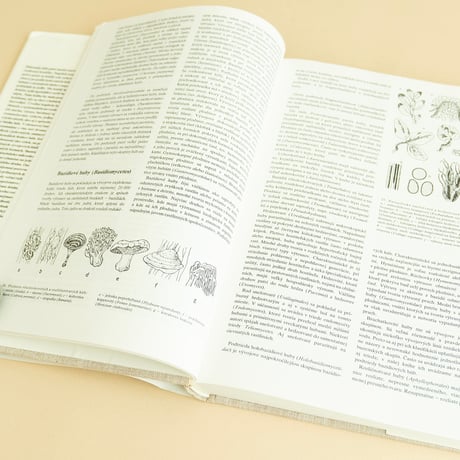『Huby』きのこ図鑑　1987年