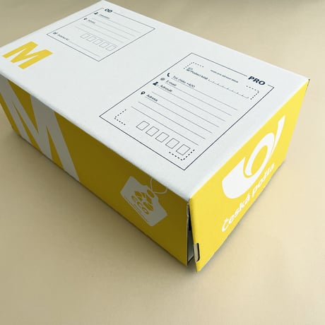 チェコ　郵便局の段ボール