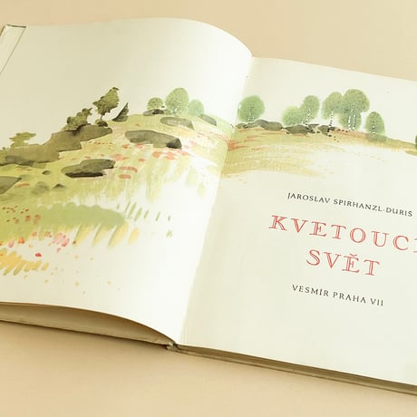 『Kvetouci svet』アントニーン・ポスピーシル（Antonin Pospisil） 絵　1947年