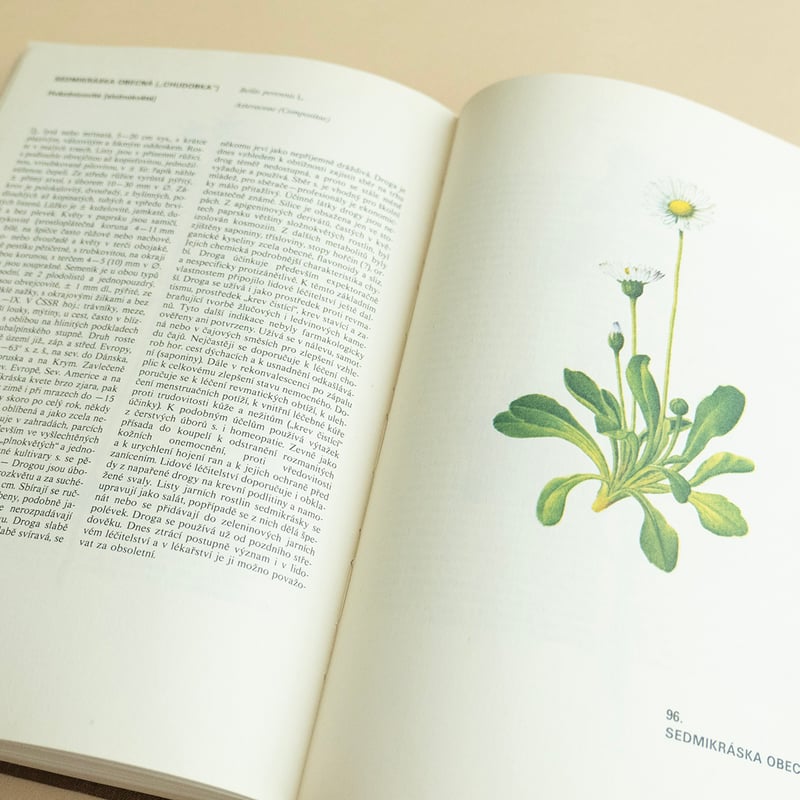 Atlas léčivých rostlin』チェコの薬草植物図鑑 Frantisek Se
