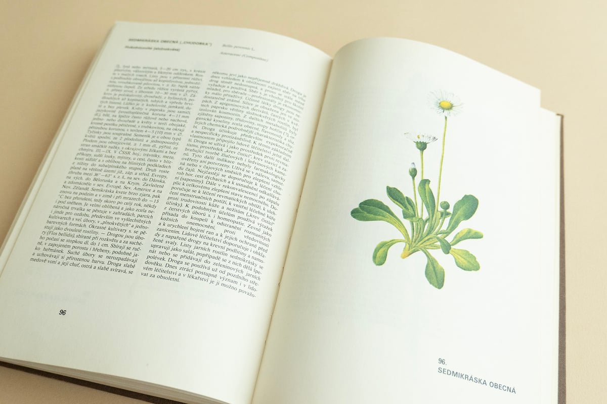Atlas léčivých rostlin』チェコの薬草植物図鑑 Frantisek Se Atlas léčivých rostlin』チェコの薬草植物図鑑 Frantisek Se