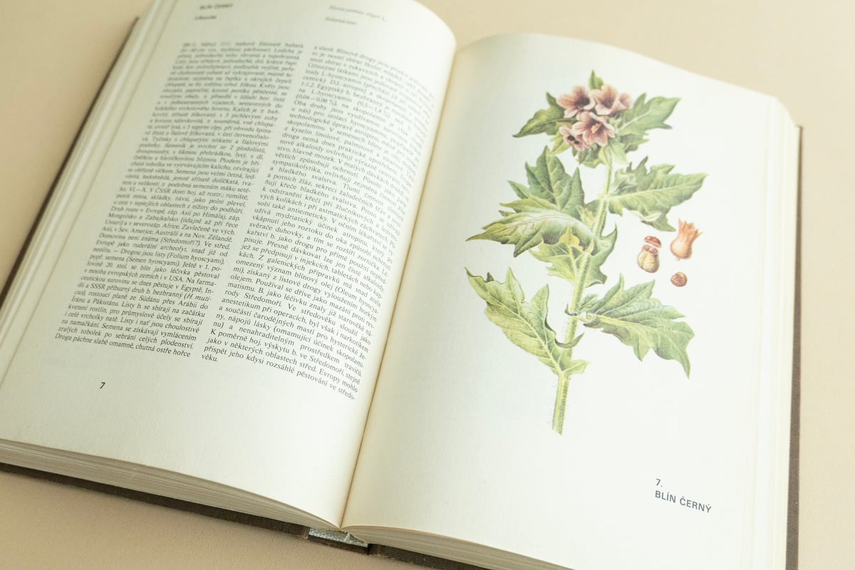 Atlas léčivých rostlin』チェコの薬草植物図鑑 Frantisek Se Atlas léčivých rostlin』チェコの薬草植物図鑑 Frantisek Se