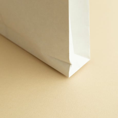 チェコのマチ付き封筒　A4サイズ