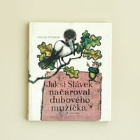 『Jak si Slavek nacaroval duboveho muzicka』ヤン・チェルニー（Jan Cerny）絵　1976年