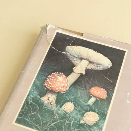 『Houby』チェコのきのこ図鑑　1963年