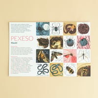 PEXESO（神経衰弱）/ Havěť