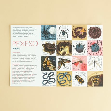 PEXESO（神経衰弱）/ Havěť