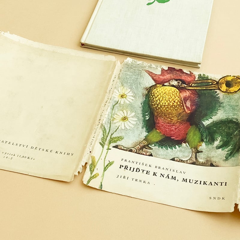 旧チェコ鉄道CD 写真集 洋書 Brejlovci 旧チェコ鉄道CD 写真集 洋書 Brejlovci