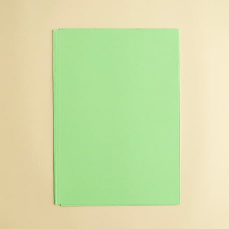 チェコの紙のファイル　A4サイズ