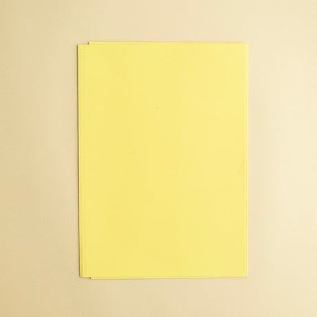 チェコの紙のファイル　A4サイズ