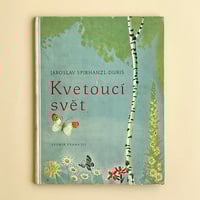 Mala morska panna』 アルビーン・ブルノフスキー（Albin Brunovs