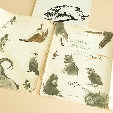 『Medvedi hurka』ミルコ・ハナーク（Mirko Hanak）絵　1958年