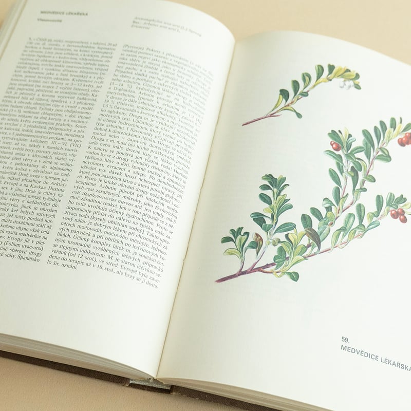 Atlas léčivých rostlin』チェコの薬草植物図鑑 Frantisek Se