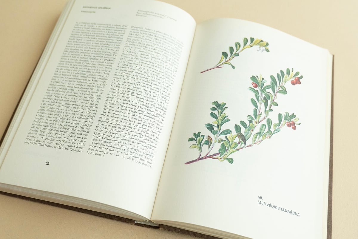 Atlas léčivých rostlin』チェコの薬草植物図鑑 Frantisek Se Atlas léčivých rostlin』チェコの薬草植物図鑑 Frantisek Se