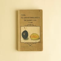 チェコの果樹図鑑　1948年
