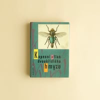 『Kapesni atlas dvoukridleho hmyzu』 チェコの双翅目図鑑　1967年