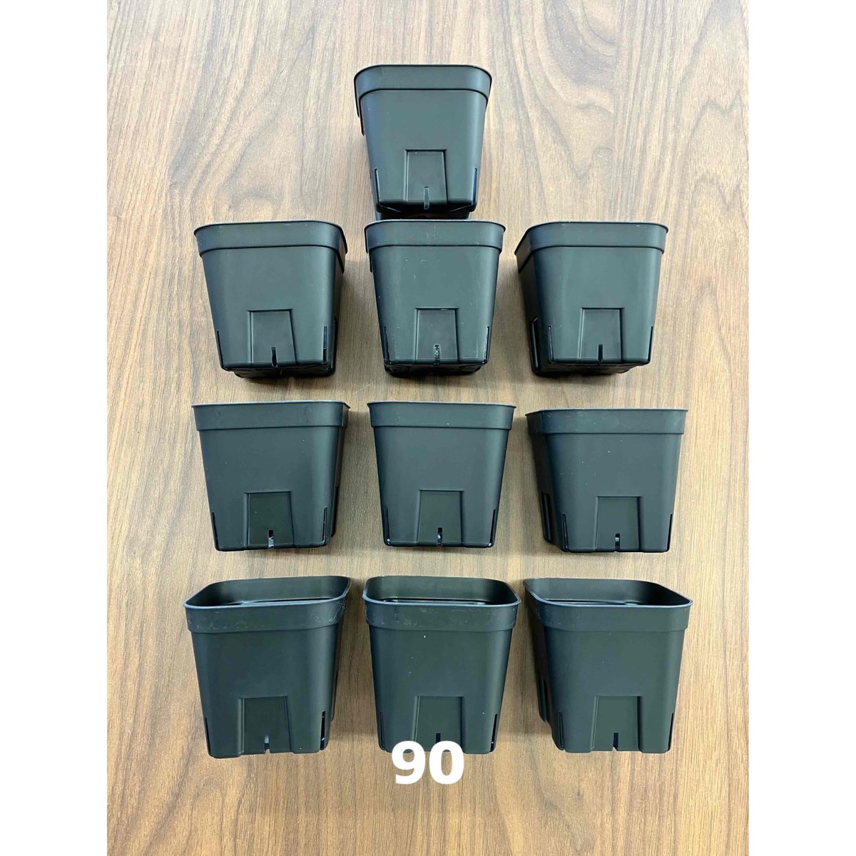 プレステラ90 ブラック 10個セット | 白木屋種苗センター