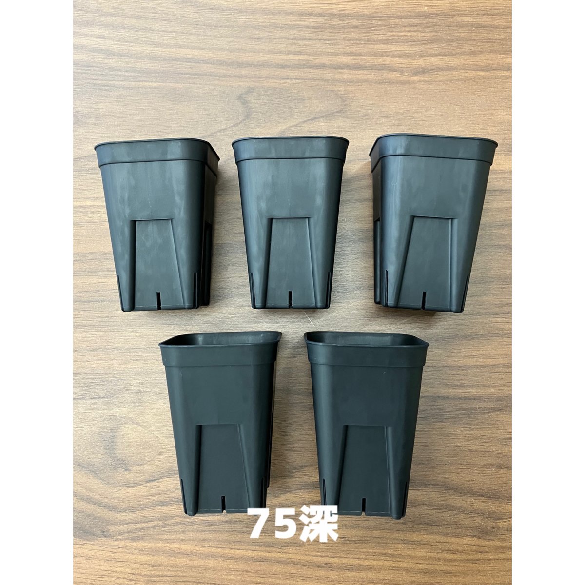 ２株セット チタノタ 「鰐亀」プレステラ75ごと発送 楽天市場】プレステラ90深型とシステムトレーのセット 【 NPシステム