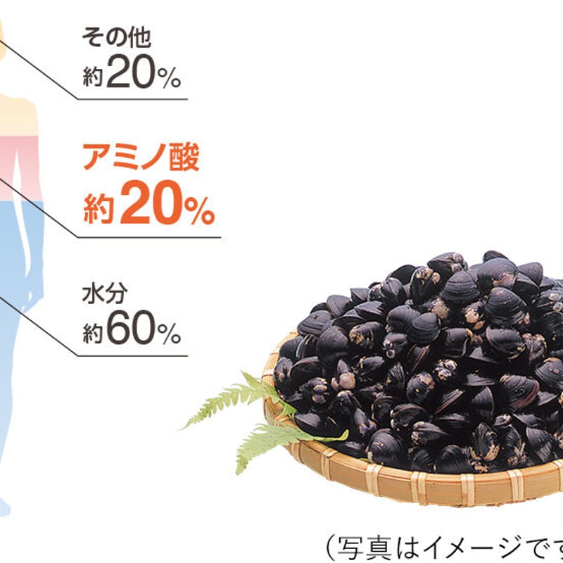 オルニチン アミノ酸 協和発酵バイオ 250mg 90粒 正規品 パイオニア