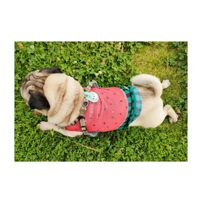 犬の服 メッシュ タンクトップ すいか チワワ トイプードル パグ 