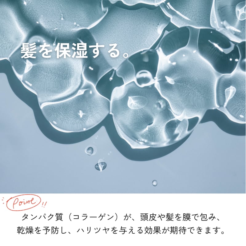 シャンプー neko fit=scale-down,w=1200