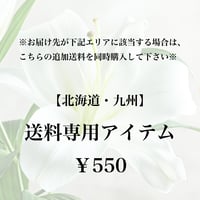 【追加送料決済用】沖縄県 沖縄】送料専用アイテム(追加送料) | Cherement