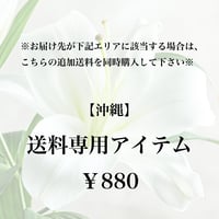 【沖縄】送料専用アイテム(追加送料)