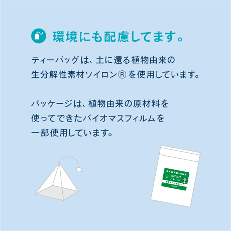 十干茶 アソートBOX（1包×10種）