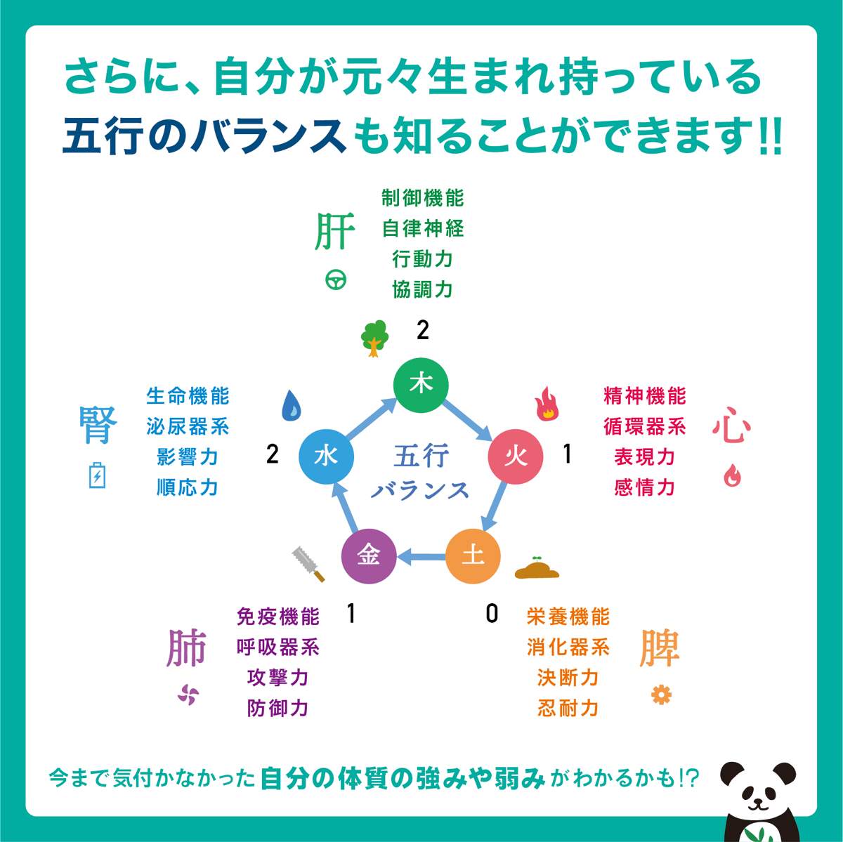 四柱推命⭐︎陰陽五行鑑定☆あなたの取り扱い説明書 氣質や使命武器健康面のアドバイス - その他