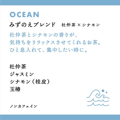 十干茶 アソートBOX（1包×10種）