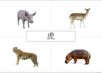 同カテゴリーの読解【意味システム】