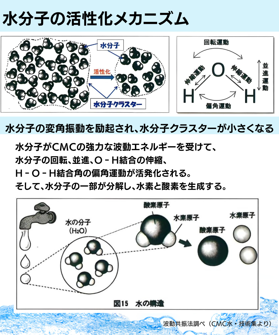 65ce1ab58642820f2d2d804c
