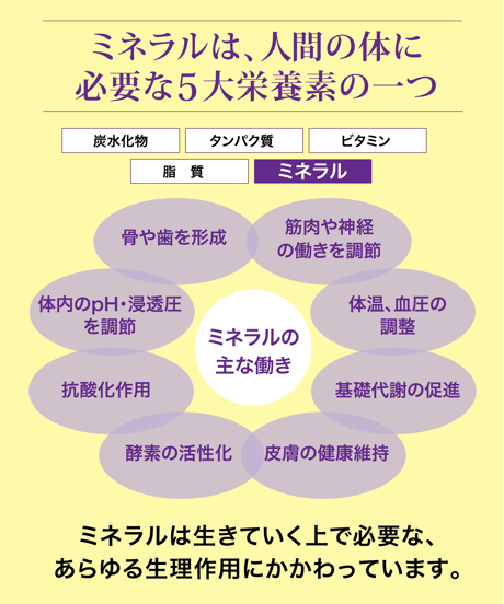 ミネラル原液「生命（いのち）の息吹」