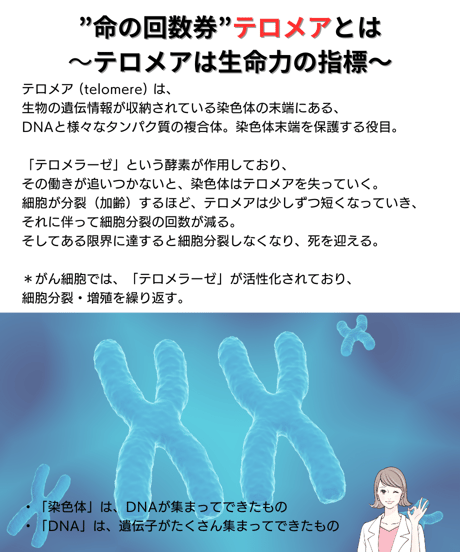 CMCスーパーバンド