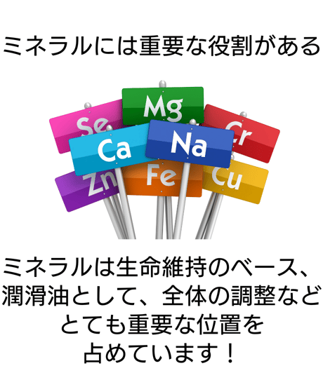 ミネラル原液「生命（いのち）の息吹」