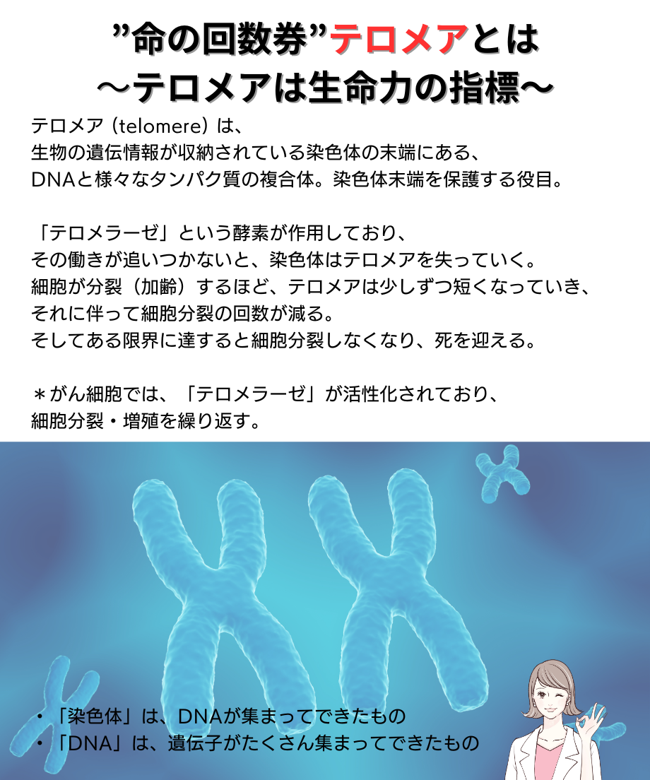 66962a67be11ec0039e5241f