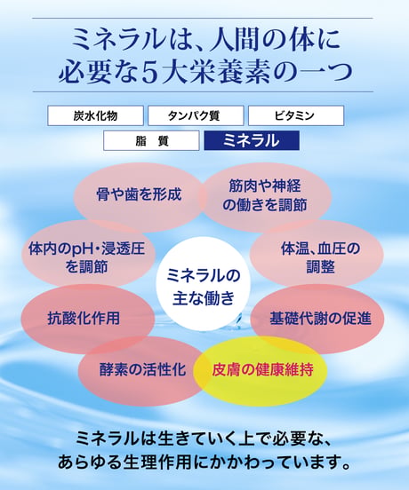 化粧水「アヴァンテ」モイスチャーローション
