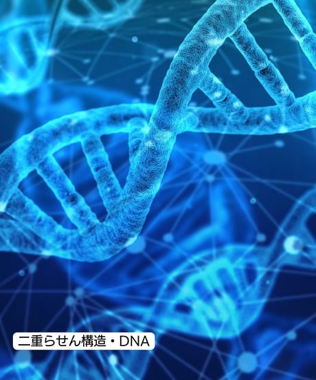 【資料集】CMC波動共振資料集