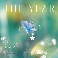 situasion / THE YEAR (CD)