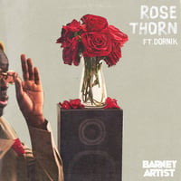 BARNEY ARTIST / Rose Thorn / Breakdown Cover (produced By Tom Misch) 7" (レコード)