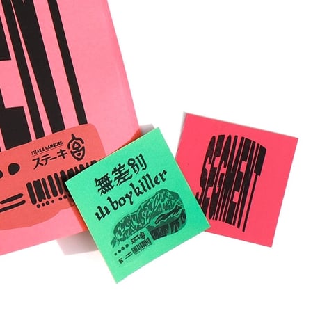 SEGMENT 2 (ZINE)