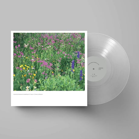 Kazufumi Kodama & Undefined / 2 Years / 2 Years in Silence (LP)