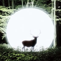 LITE / Installation (LP)