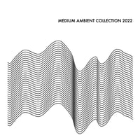 V.A. (MEDIUM) / MEDIUM AMBIENT COLLECTION 2022 WHITE（2LP) (レコード)