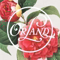 ART-SCHOOL LP新品 Requiem for innocence ART-SCHOOL / REQUIEM FOR INNOCENCE (レコード) | DIW