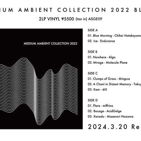 V.A. (MEDIUM) / MEDIUM AMBIENT COLLECTION 2022 BLACK（2LP) (レコード)