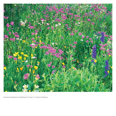Kazufumi Kodama & Undefined / 2 Years / 2 Years in Silence (LP)