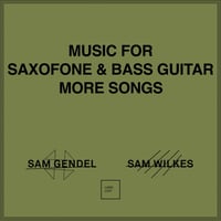 Sam Gendel & Sam Wilkes / Music For Saxofone & Bass Guitar More Songs (CD)